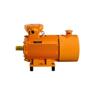YBBP-BT4/CT4 variable-frequency explosion proof AC electric motors